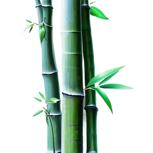 Bamboo Plant Png Xsk35 PNG Image