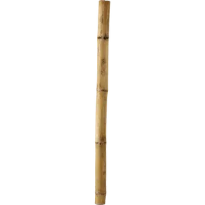 Bamboo Stick Isolatedon Black PNG Image