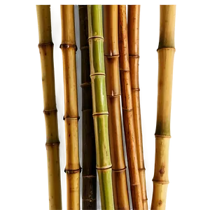 Bamboo Sticks Png Yaq93 PNG Image