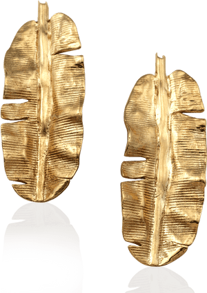 Banana Leaf Earrings - Banana Leaf Earring, HD Png Download PNG image with transparent background