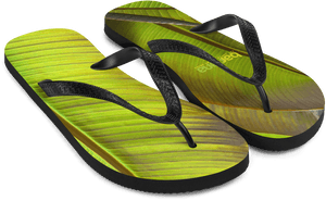 Banana Leaf Flip-flops - Flip-flops, HD Png Download PNG image with transparent background