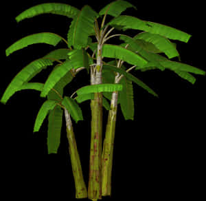 Top 82 Palm Tree Clip Art - Banana Tree Png Clipart, Transparent Png PNG image with transparent background