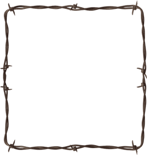 Barbwire Png Image - Clip Art Barbed Wire Frame, Transparent Png PNG