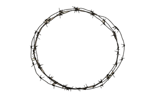 Barbwire Png - Barbed Wire Circle Clipart, Transparent Png PNG