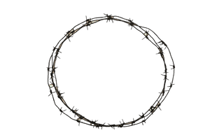Barbed Wire Loop Security Barrier PNG