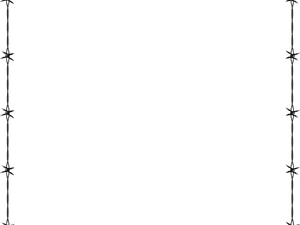 Barbwire Border - Monochrome PNG