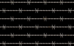 Barbed Wire Pattern Background PNG image with transparent background