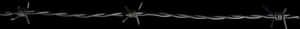 Barbed Wire Security Fence PNG image with transparent background