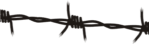 Barbwire Png Transparent Images - Transparent Background Barbed Wire Clipart PNG