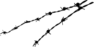 Barbwire Free Png Image - Barbe Wire Png PNG