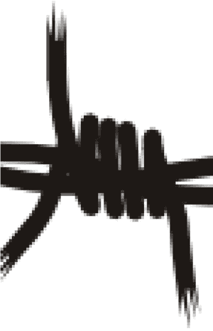 Barbed Wire Clip Art - Barbed Wire Vector Png, Transparent Png PNG