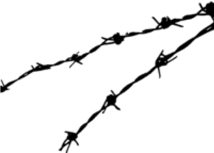 Barbwire Png Background Image - Barbwire Png PNG