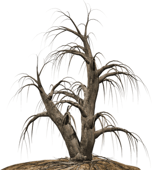 Dead Tree Clipart Desert Png - Portable Network Graphics, Transparent Png PNG image with transparent background