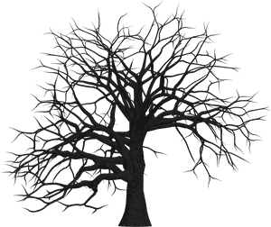 Dead Trees Clip Art, HD Png Download PNG image with transparent background