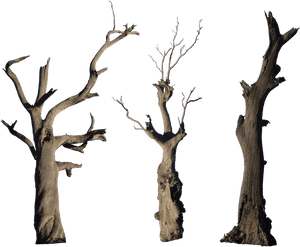 Tree Wood More Like Grooved Wood Texture Png Log Clker - Dead Tree Png, Transparent Png PNG image with transparent background