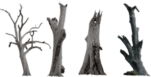 Transparent Trunk Clipart - Forest Dry Tree Png, Png Download PNG image with transparent background