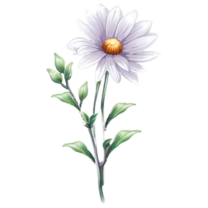 Bare Flower Illustration Png Ekv PNG Image