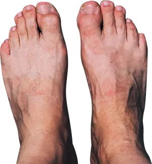 Bare Human Feet Top View PNG Image