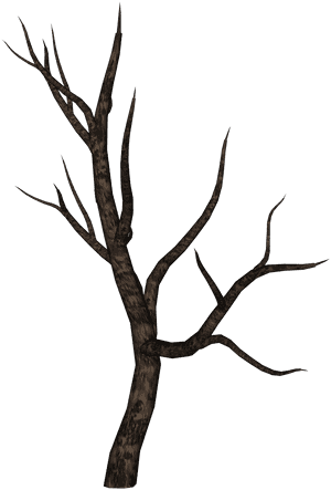 Bare Tree Branch Silhouette PNG image with transparent background