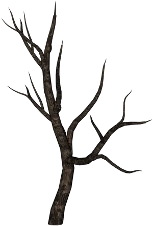 Bare Tree Branch Silhouette PNG Image