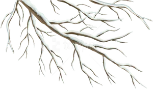 Bare_ Tree_ Branches_ Graphic PNG Image