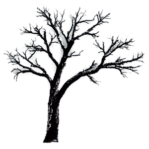 Bare Tree Branches Png Ehc24 PNG Image