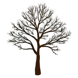 Bare Tree Branches Png Rvd21 PNG Image