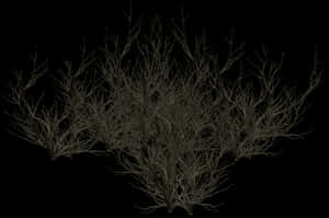 Transparent Tree With Roots Clipart Black And White - Silhouette, HD Png Download PNG