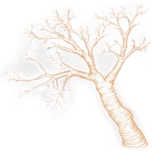 Bare Tree D PNG Image