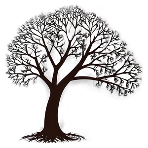 Bare Tree Drawing Png 94 PNG Image