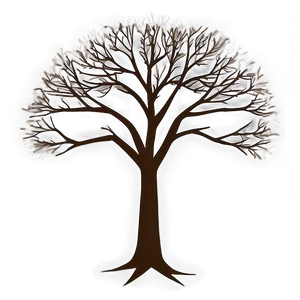 Bare Tree Drawing Png Kdu PNG Image