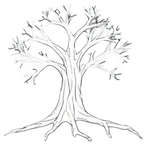 Bare Tree Outline Png Eun19 PNG Image