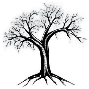 Bare Tree Outline Png Xjg91 PNG Image