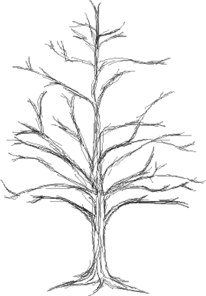 Tree , Png Download - Sketch, Transparent Png PNG image with transparent background