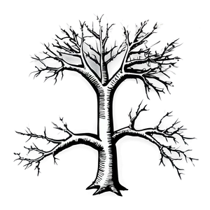 Bare Tree Sketch Png Djt70 PNG Image