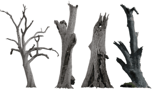 Dead Tree Pack - Dry Tree Trunk Png, Transparent Png PNG image with transparent background