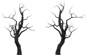 Tree Branch Snag - Boys Meets Evil Png, Transparent Png PNG with transparent background