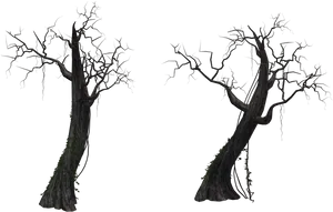 Bare Twisted Trees Silhouette PNG Image