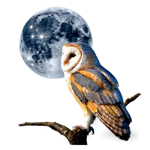 Barn Owl And Moon Png 06252024 PNG Image