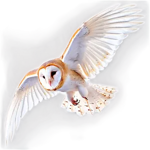 Barn Owl Wings Spread Png Rom PNG Image