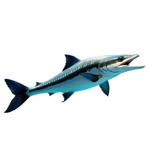 Barracuda Family Png Gqh PNG Image