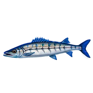 Barracuda On The Hunt Png Ype50 PNG Image