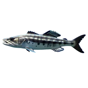 Barracuda Predator Of The Sea Png Nqy PNG Image