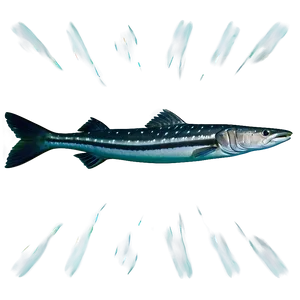 Barracuda Swimming Png 18 PNG Image