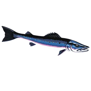 Barracuda Vector Art Png Mpi65 PNG Image