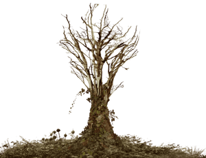 Dead Tree With Ivy Png Landsc - Dead Tree Png Transparent, Png Download PNG image with transparent background