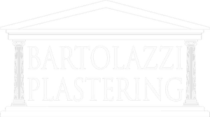 Bartolazzi Plastering - Anita Blake Tome 11, HD Png Download PNG image with transparent background