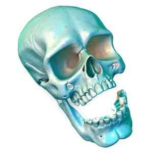 Basic Skull Illustration Png 40 PNG Image