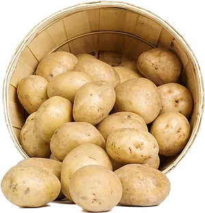 Basketof Fresh Potatoes.jpg PNG Image