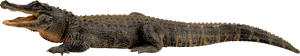 Nile Crocodile Alligator Clip Art - Crocodile Transparent, HD Png Download PNG image with transparent background